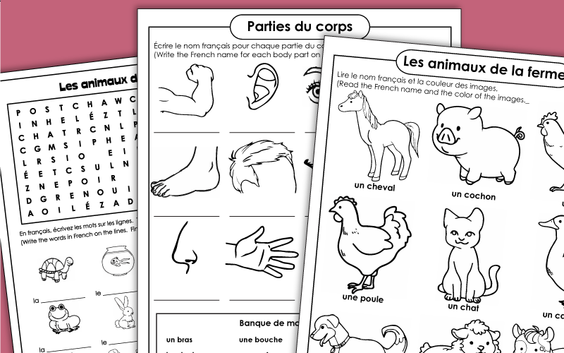 Grade 2 French Worksheets Worksheets For Kindergarten