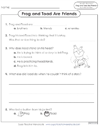 Book Frog And Toad Are Friends Questions