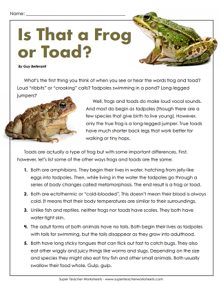 life cycle of a frog worksheet